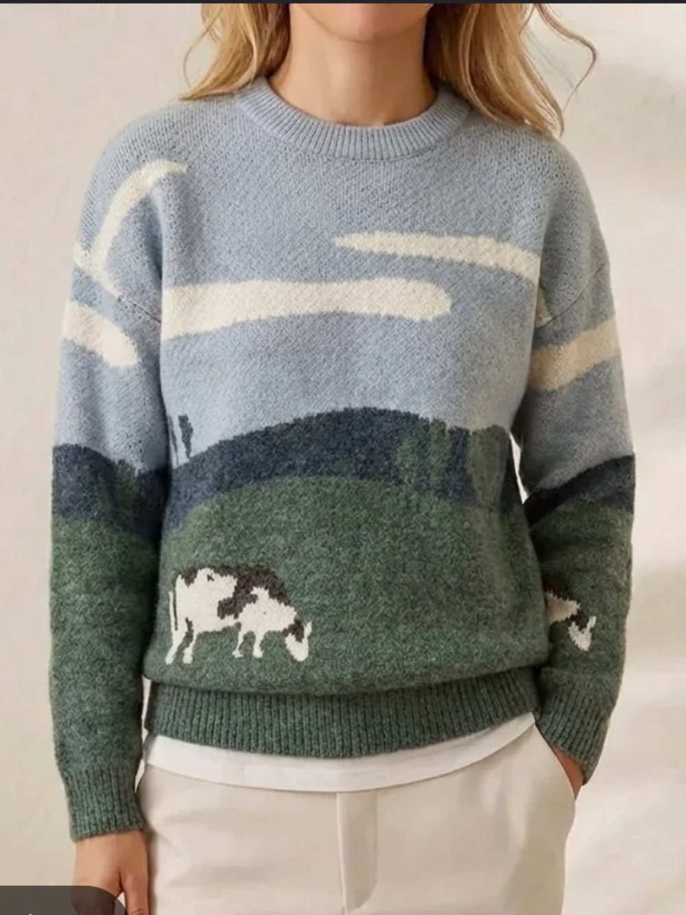 Aelfric Eden vintage prairie cow sweater